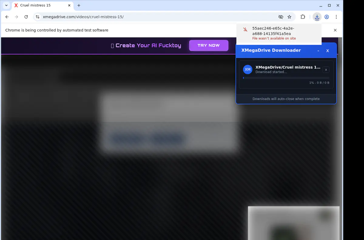 Xmegadrive Video Downloader screenshot 2