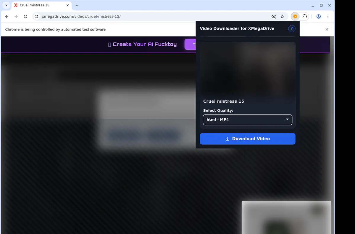 Xmegadrive Video Downloader screenshot 3