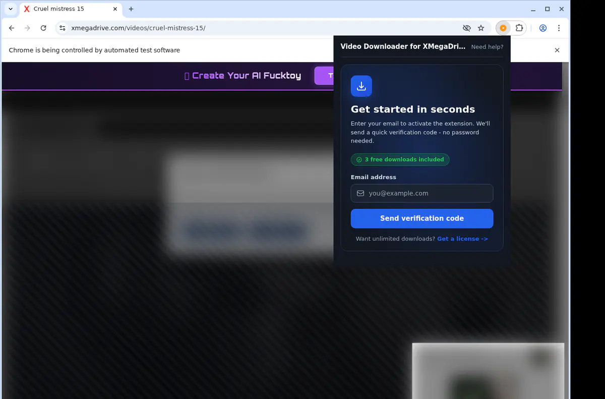 Xmegadrive Video Downloader screenshot 5